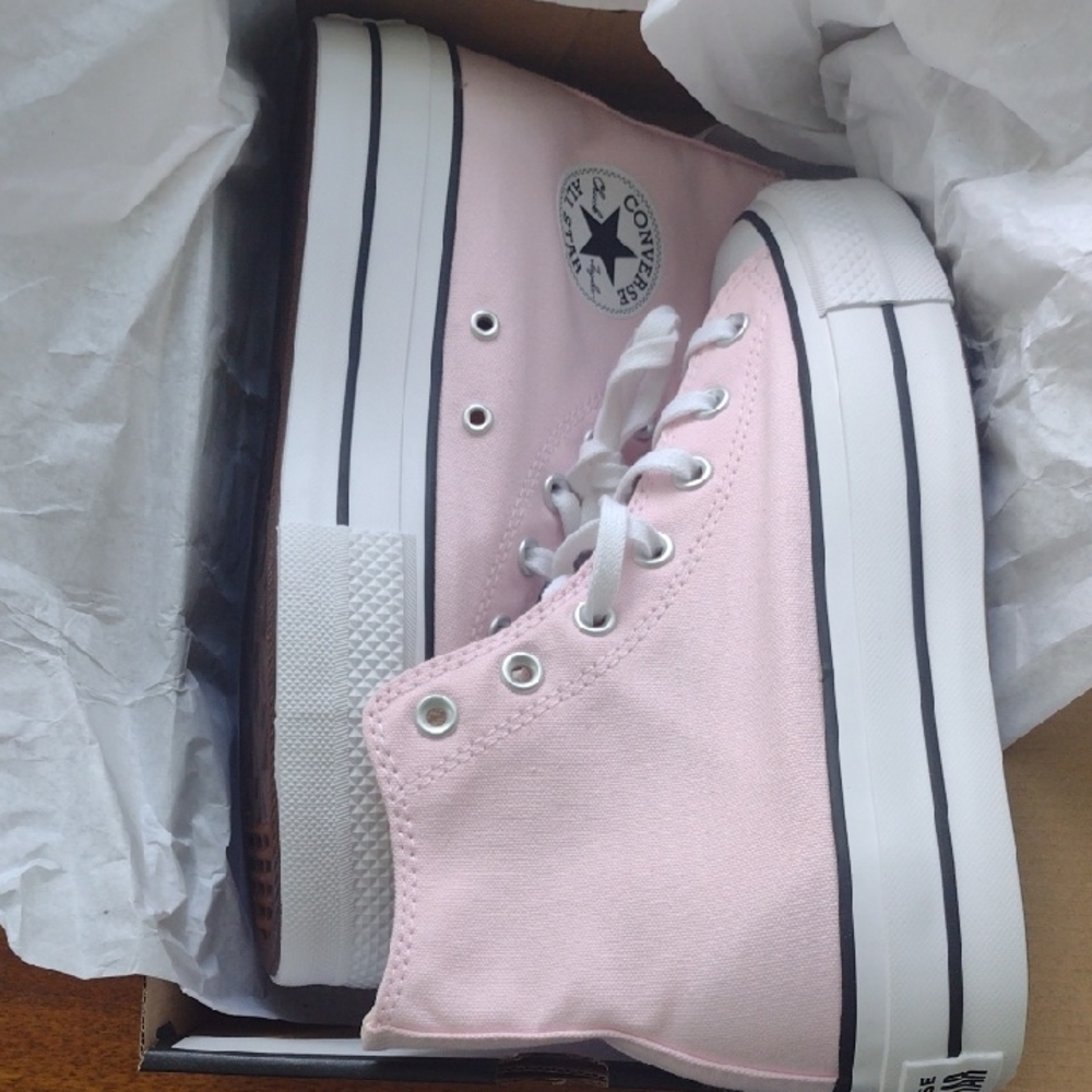Converse Light Pink Canvas High-Tops
